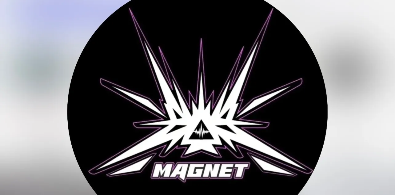 Magnet